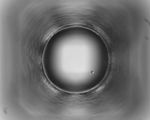 X0000103270985200808291236