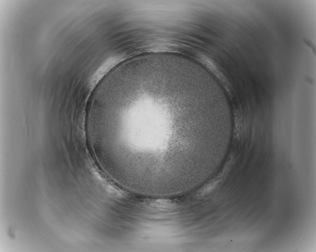 X0000103270986200808291236