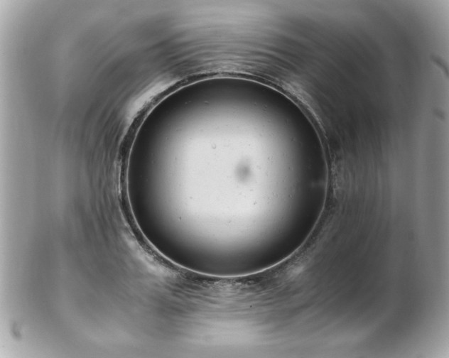 X0000103270987200808291236