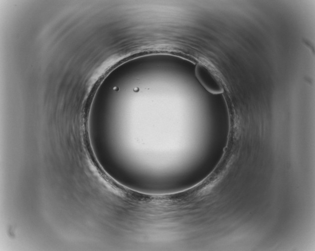 X0000103270989200808291236