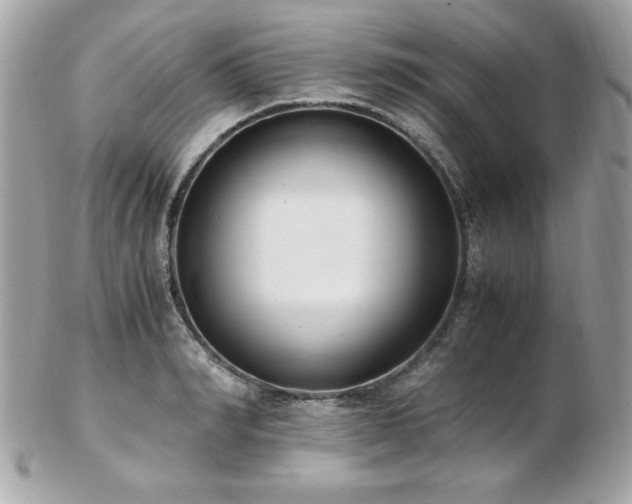 X0000103270990200808291236