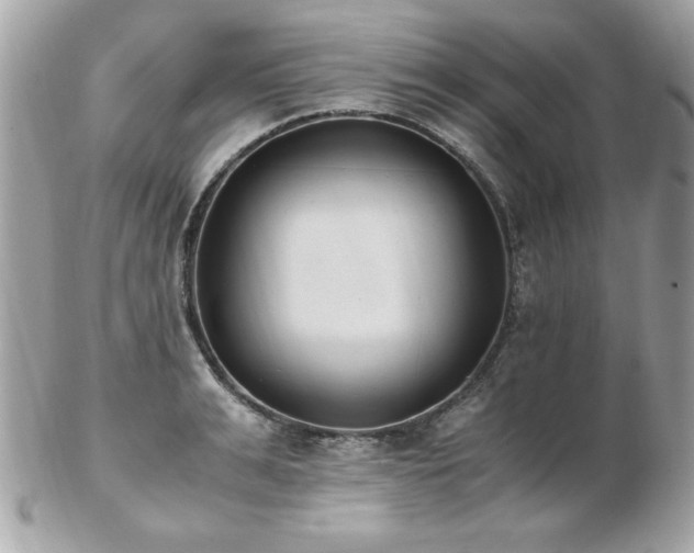 X0000103270991200808291236