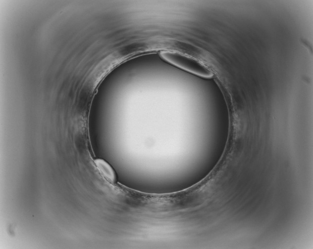 X0000103270993200808291236