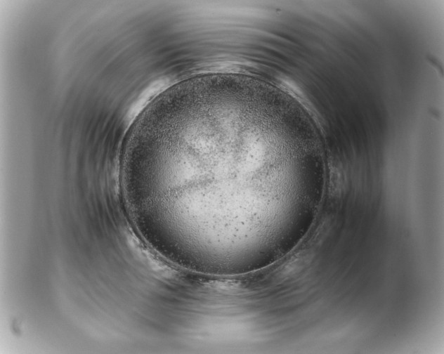 X0000103270994200808291236