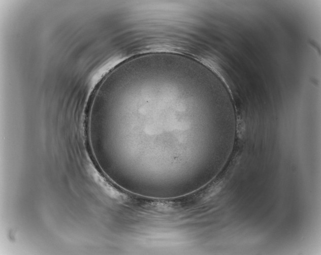 X0000103270995200808291236