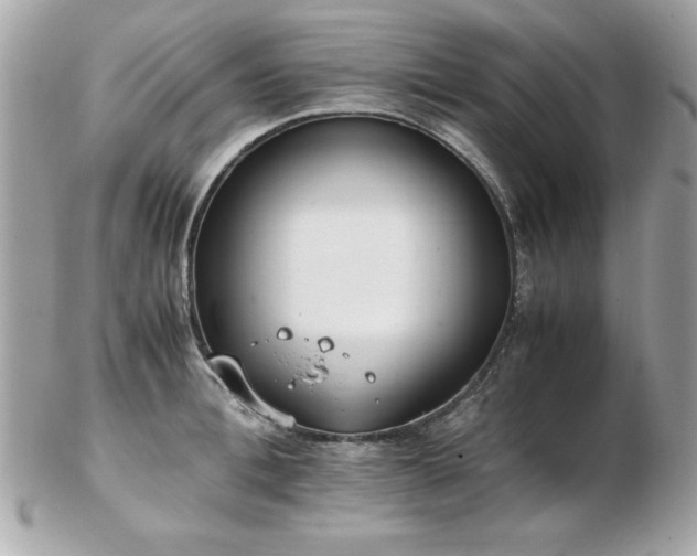 X0000103270996200808291236