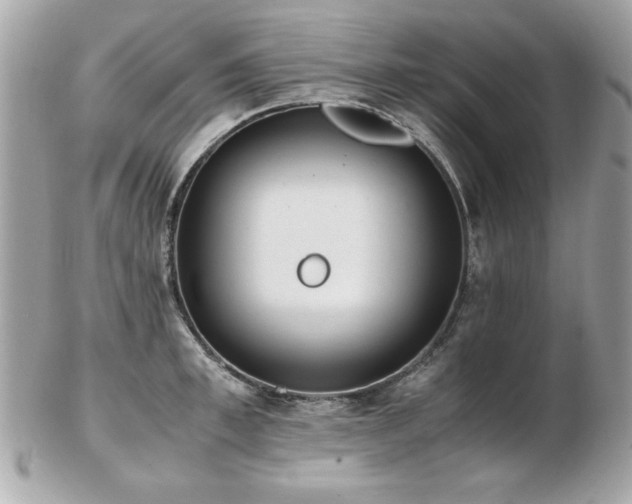 X0000103270997200808291236