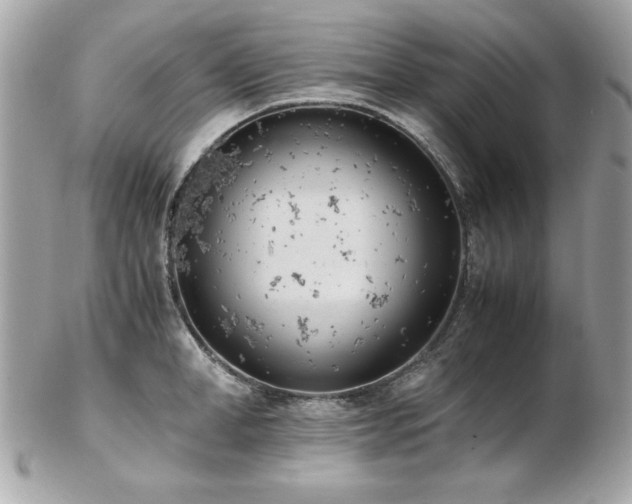 X0000103270998200808291236