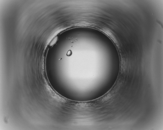 X0000103271000200808291236