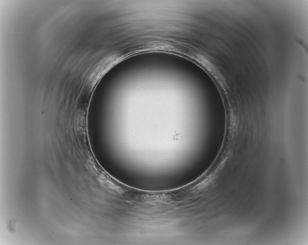 X0000103271001200808291236