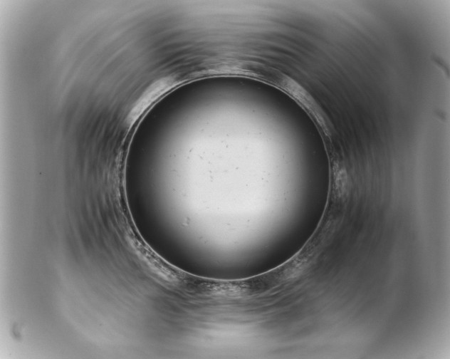 X0000103271002200808291236