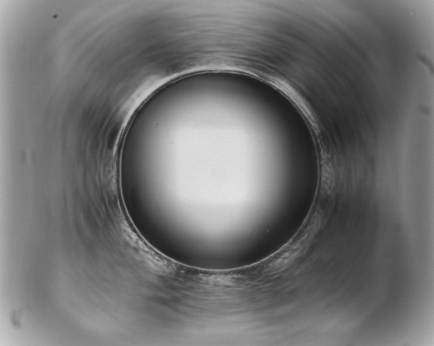 X0000103271004200808291236