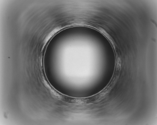 X0000103271005200808291236