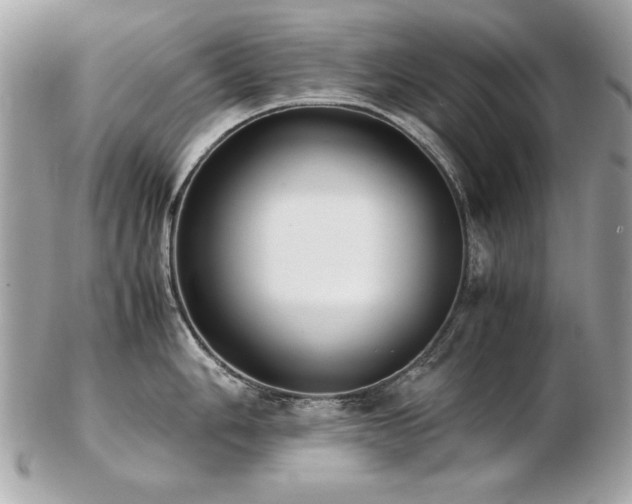 X0000103271006200808291236