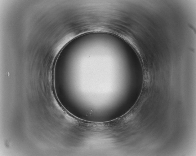 X0000103271007200808291236