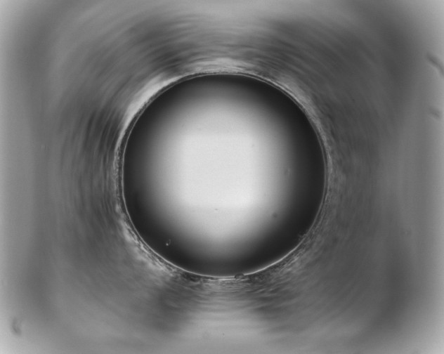 X0000103271008200808291236