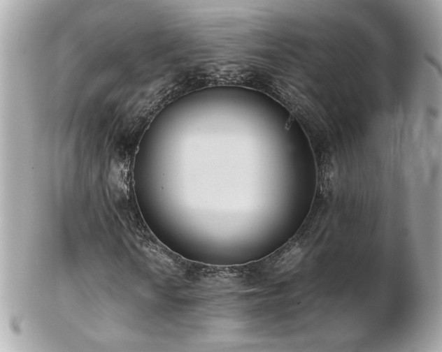 X0000103271010200808291235