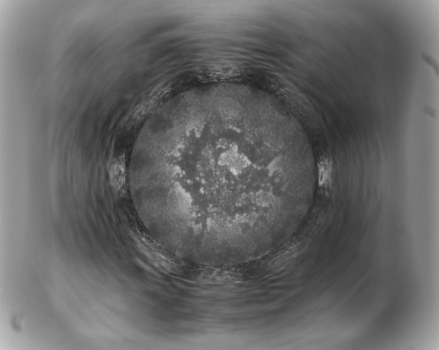 X0000103271011200808291235