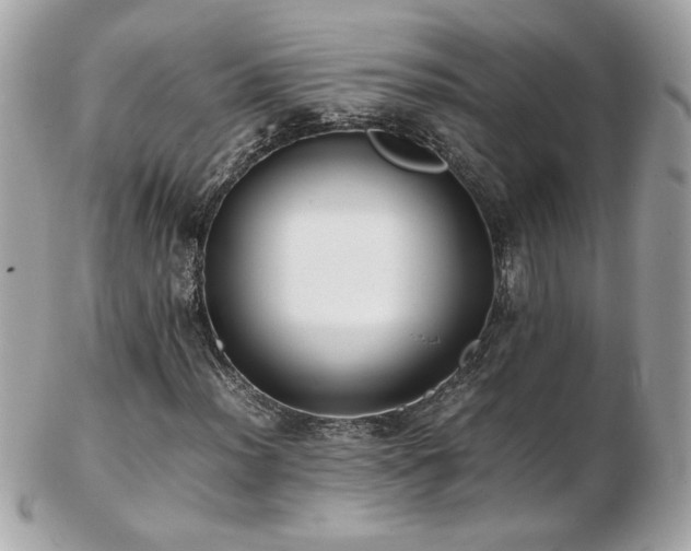 X0000103271012200808291235