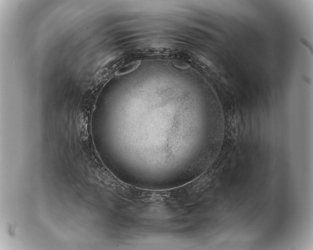 X0000103271013200808291235