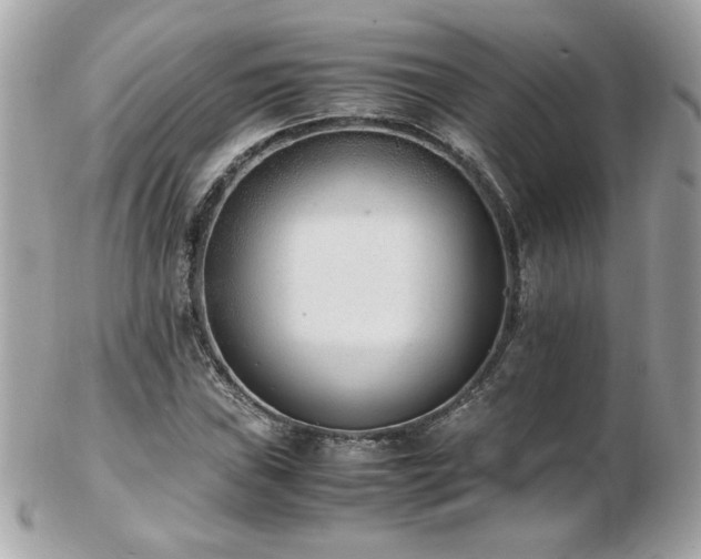 X0000103271019200808291235