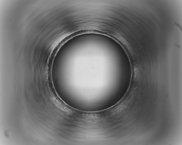 X0000103271020200808291235