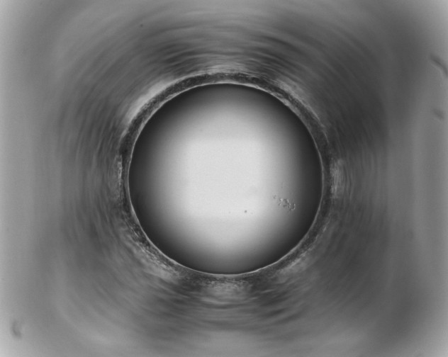 X0000103271021200808291235