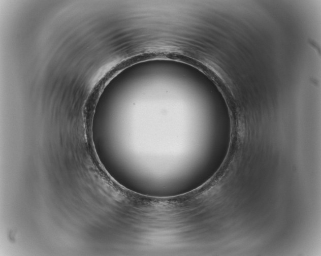 X0000103271022200808291235