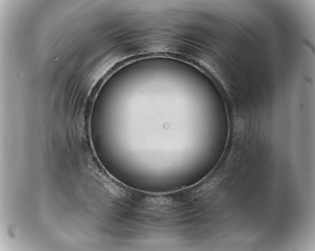 X0000103271023200808291235