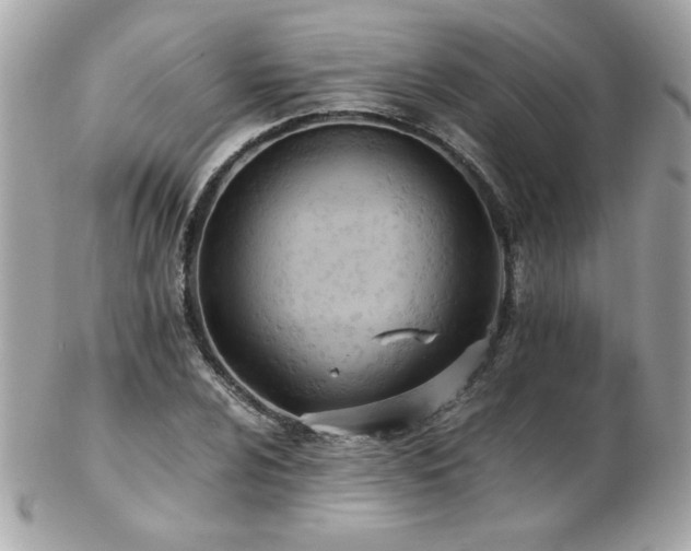 X0000103271024200808291235