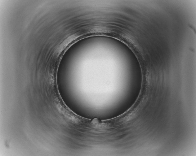 X0000103271025200808291235