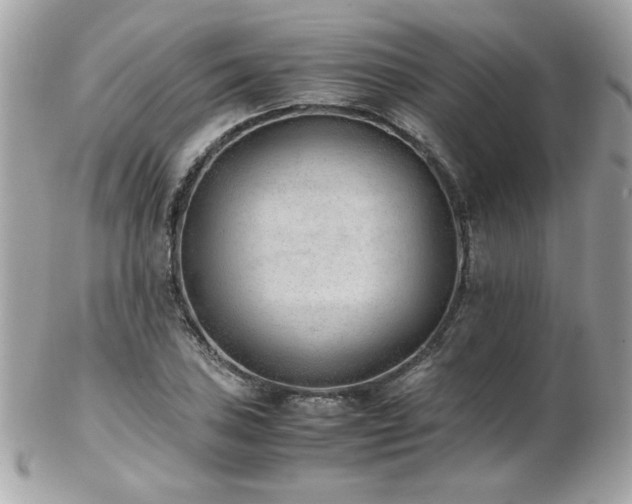 X0000103271027200808291235