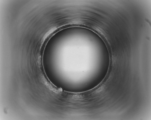 X0000103271029200808291235