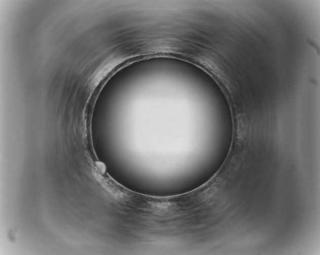 X0000103271031200808291235