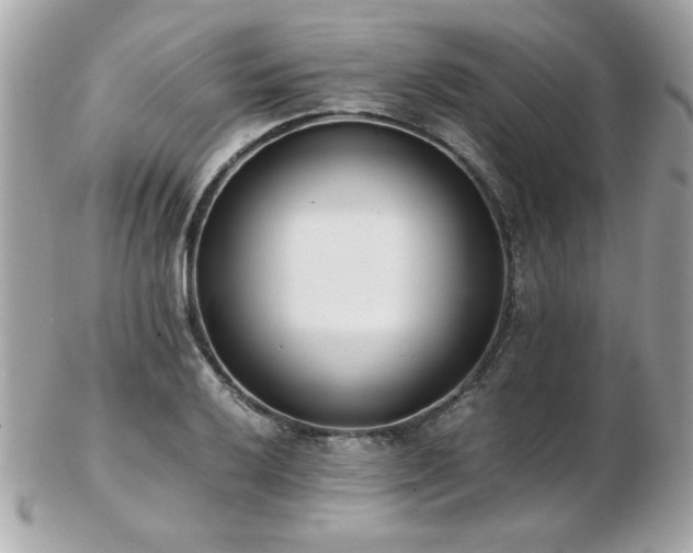 X0000103271032200808291235