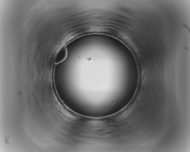 X0000103271033200808291235