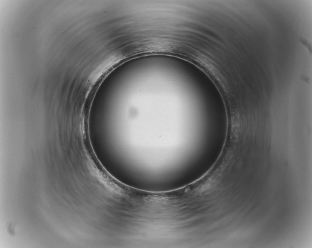 X0000103271034200808291235