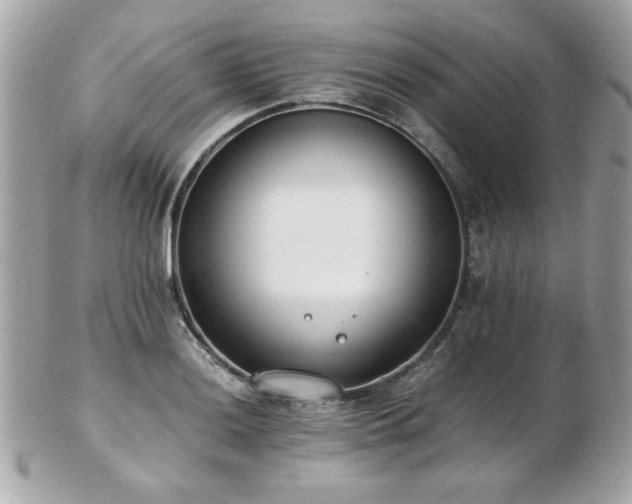 X0000103271036200808291235