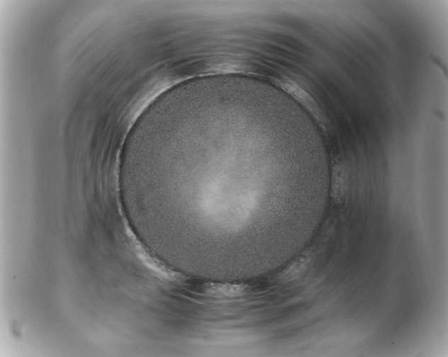 X0000103271039200808291235