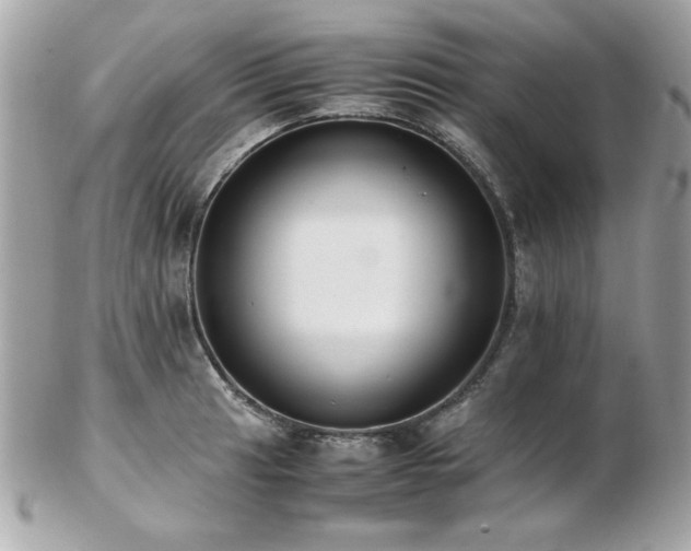 X0000103271041200808291235