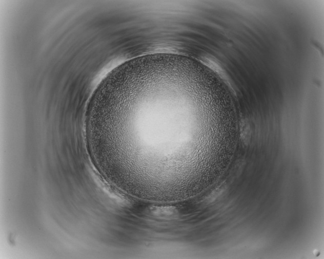 X0000103271043200808291235