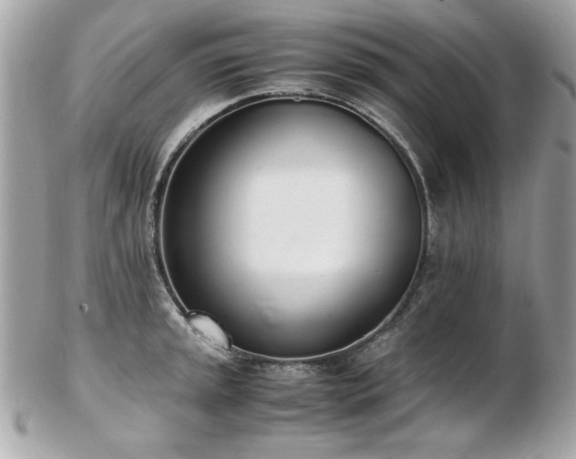 X0000103271045200808291235