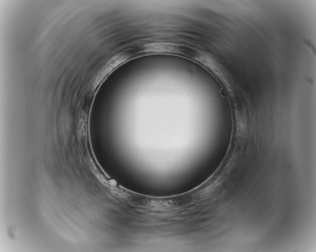 X0000103271049200808291235