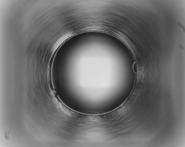 X0000103271050200808291236