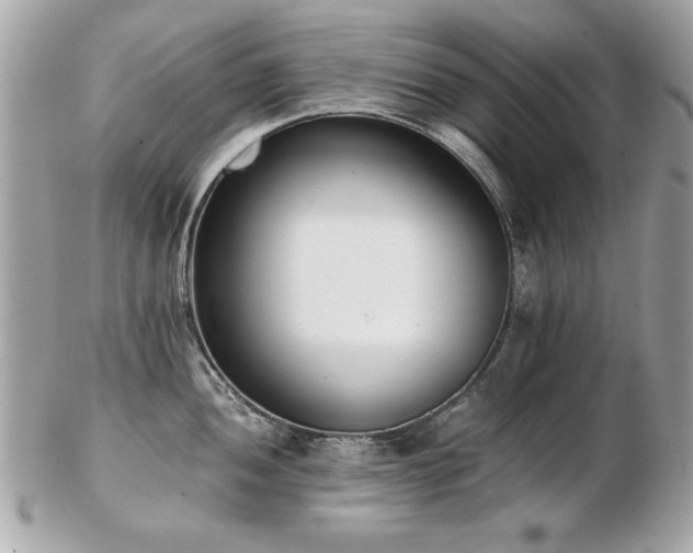 X0000103271052200808291236