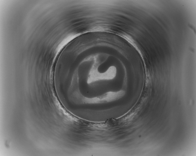 X0000103271053200808291236