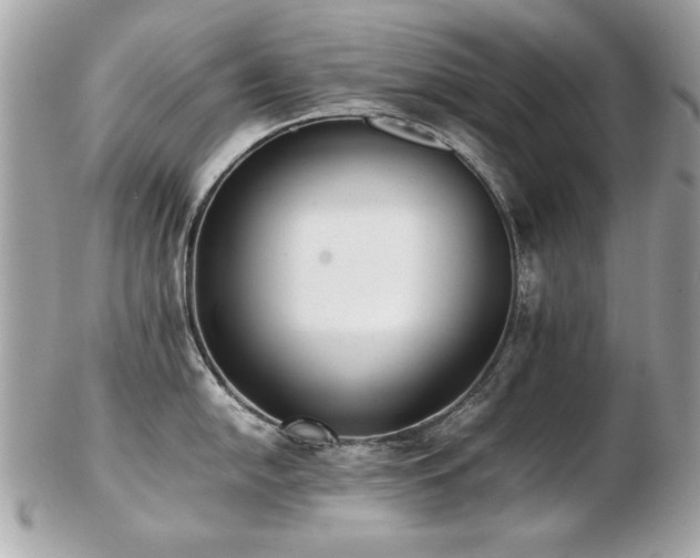 X0000103271054200808291236