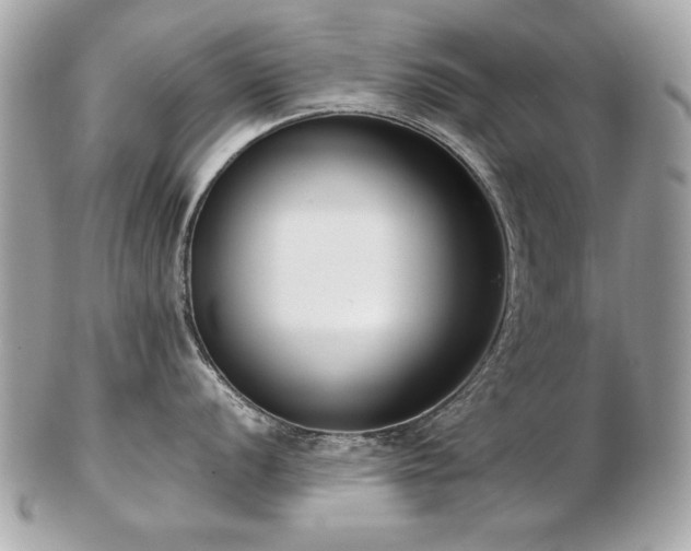 X0000103271056200808291236