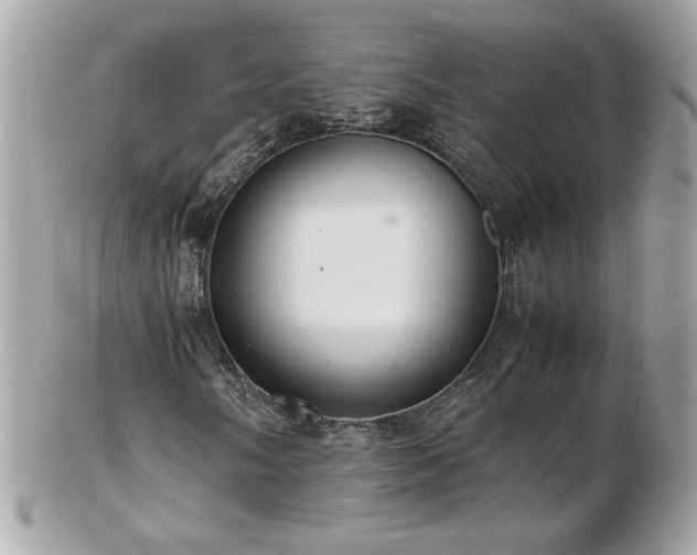 X0000103271058200808291235