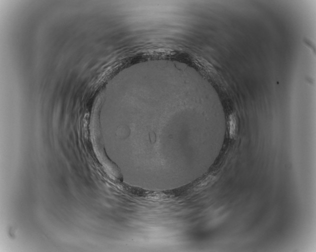 X0000103271059200808291235